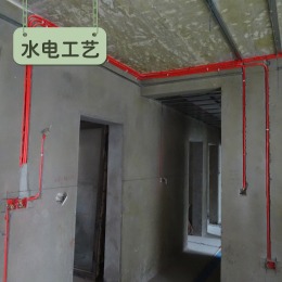 金棕榈