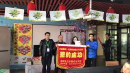 龙湖