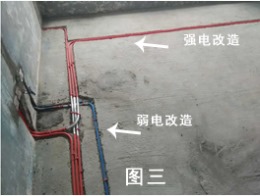 戛纳湾金棕榈