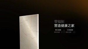 公司介绍