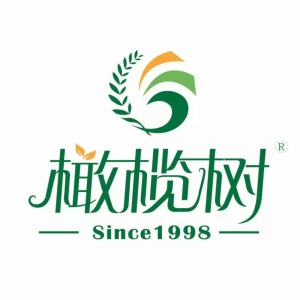 公司介绍