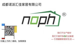 公司介绍