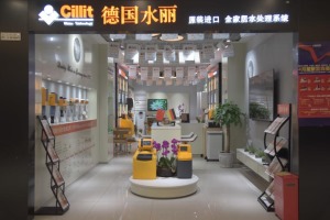公司介绍