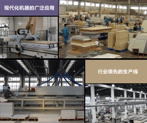 公司介绍