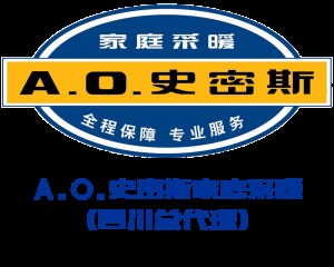 公司介绍
