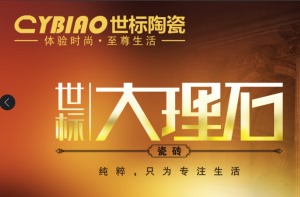 公司介绍