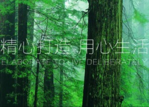 公司介绍