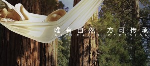 公司介绍