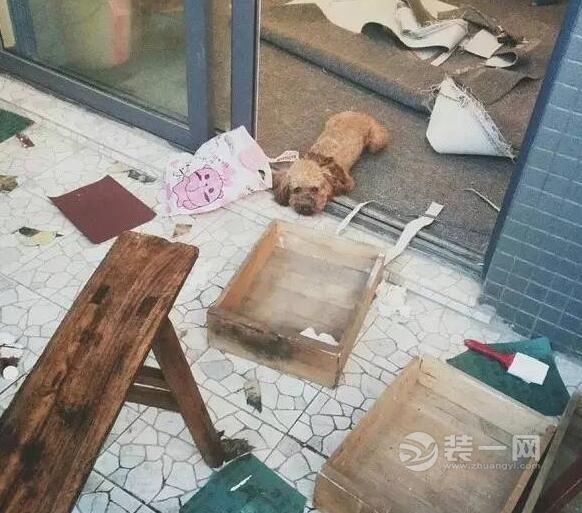 出租房改造